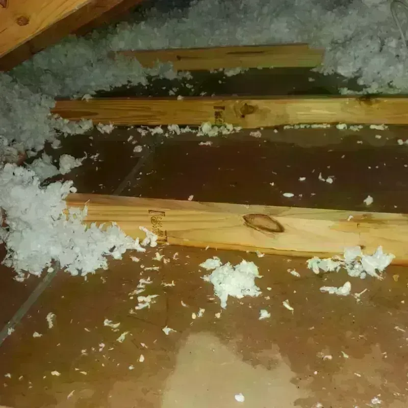 Attic Water Damage in Cooper, TX