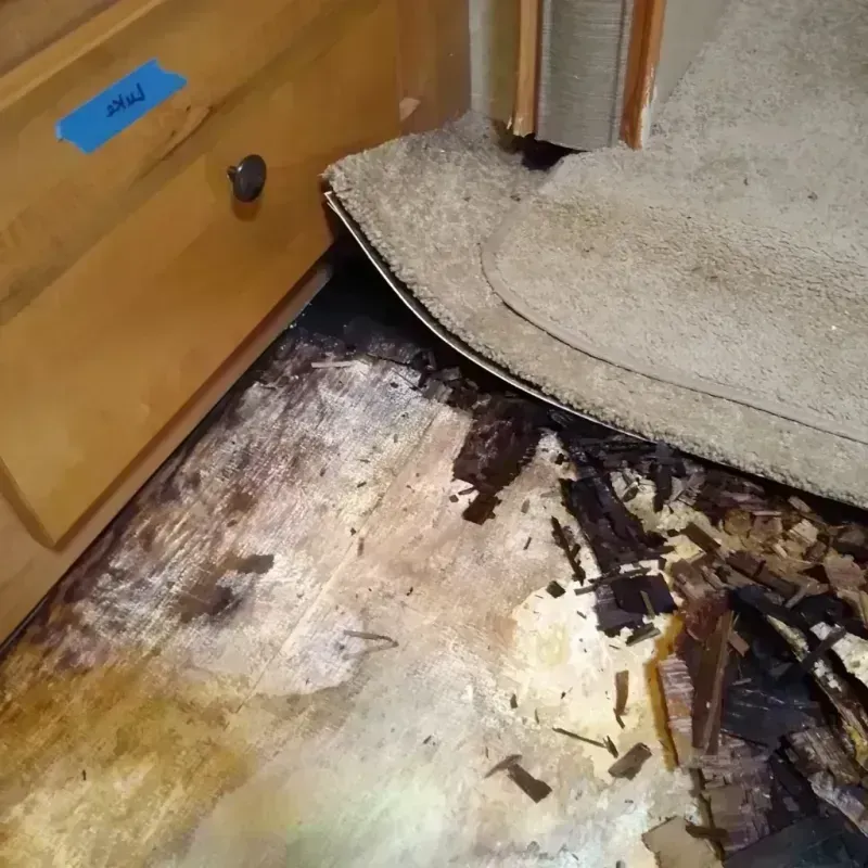 Wood Floor Water Damage in Cooper, TX